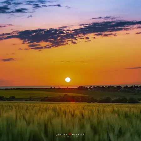 Reetcottage 24 *